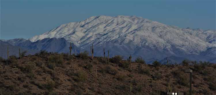 snow-capped bradshaws